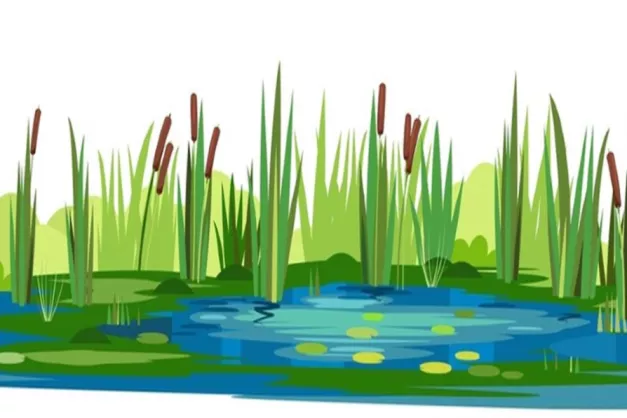 Image of a pond with strands of grass 
