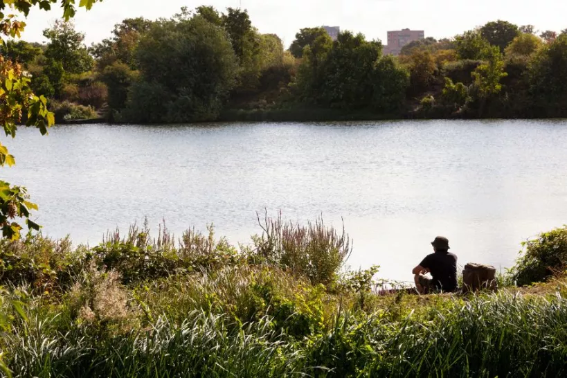 long shot of one of the lakes in Walthamstow Wetlands with trees all around featuring a man crouching and contemplating nature