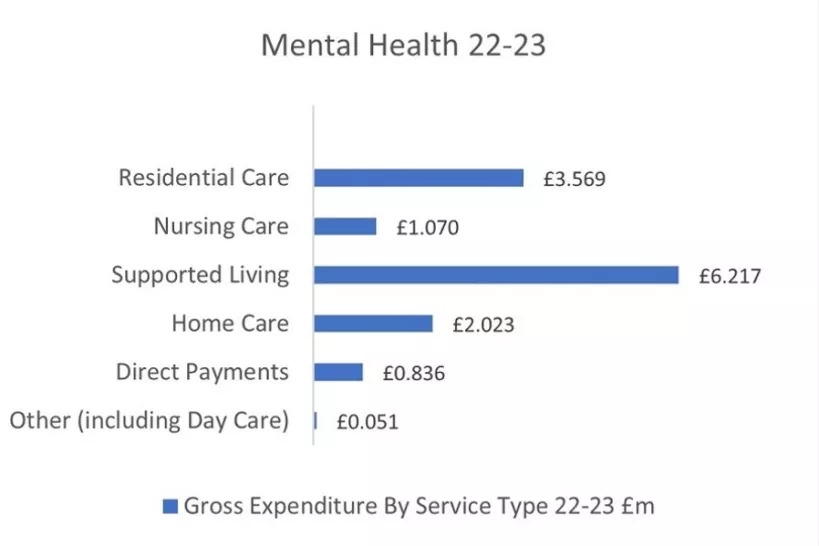 Chart for Mental Health 2022 to 2023