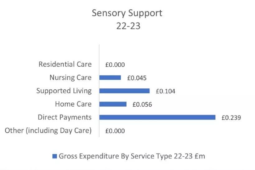 Chart for Sensory Support 2022 to 2023